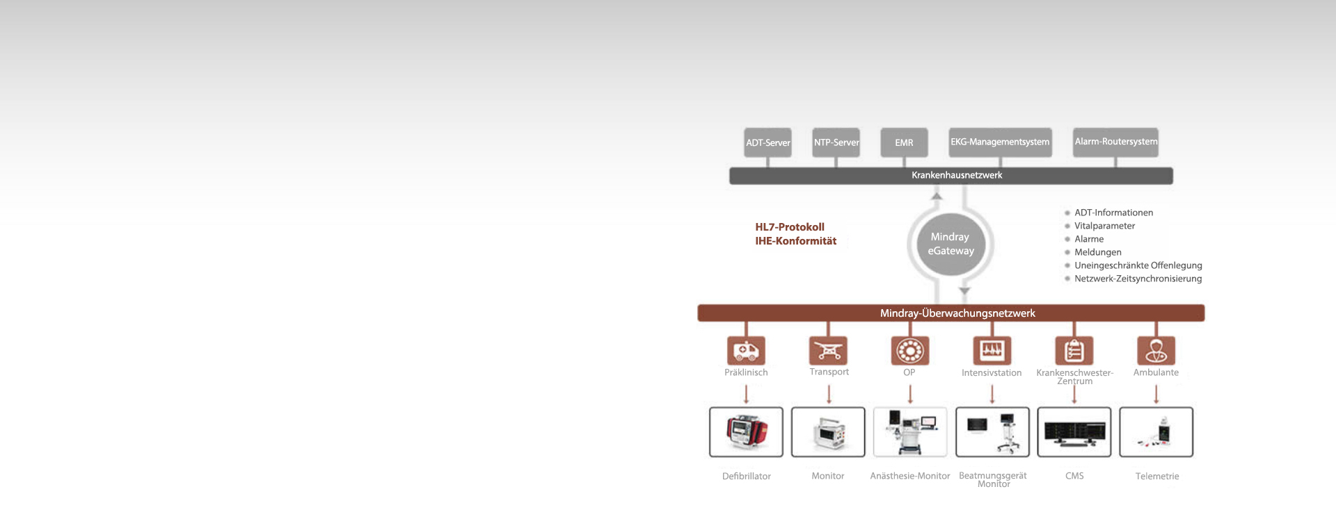 p29-s1-web