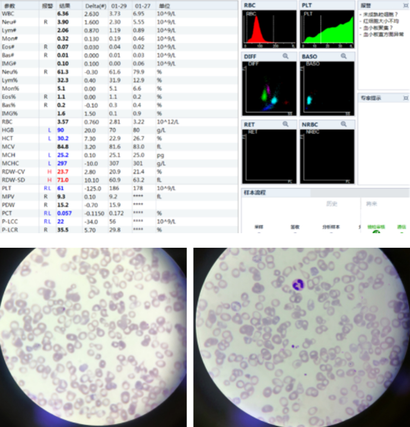 gln24-s7