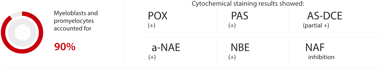 hemablog-1-aml-m4-fig6-pc