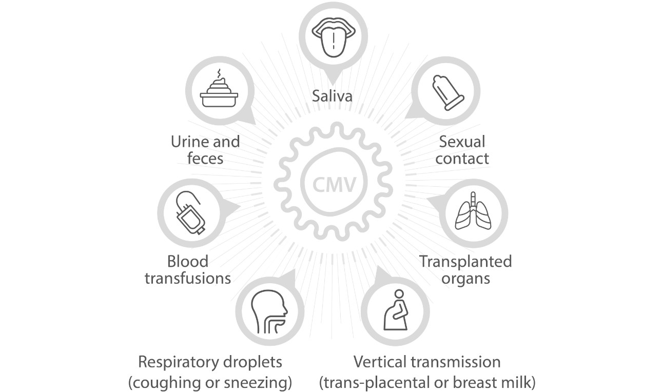 cytomegalovirus-fig1-pc