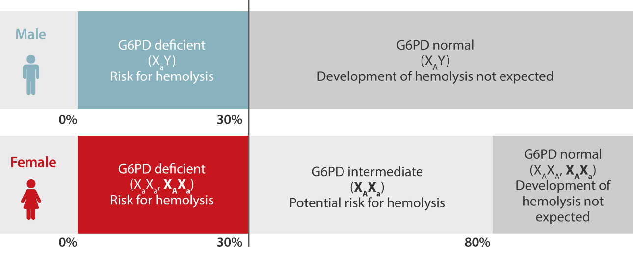 g6pd-test-fig4-pc