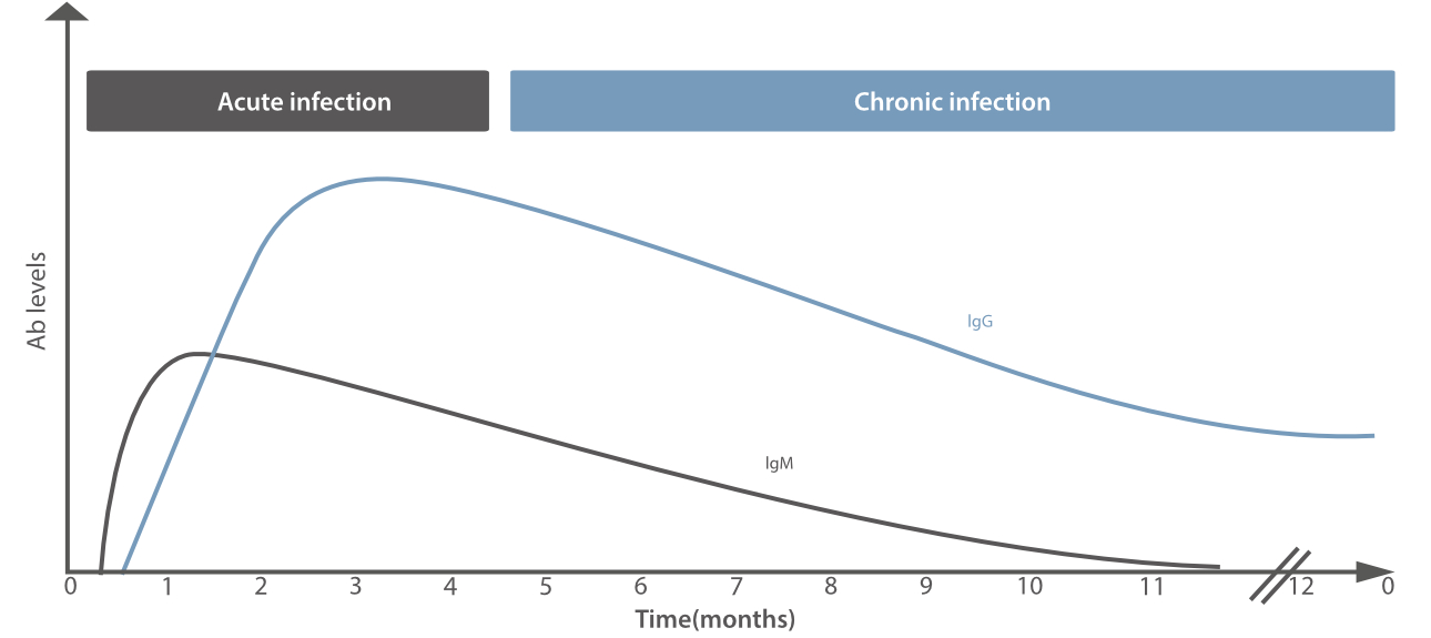 Toxoplasmosis-fig4-pc