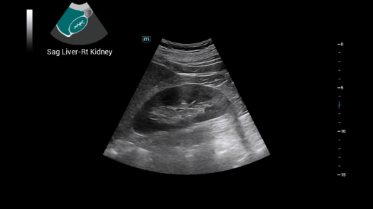 consona-n9-fig5-3-1