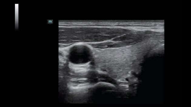 consona-n6-fig3-1-1