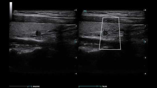 consona-n6-fig3-1-5