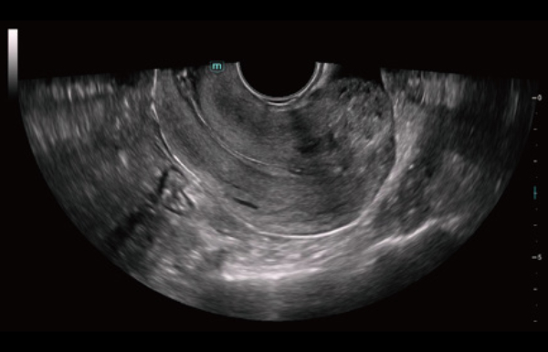 consona-n7-fig5-6