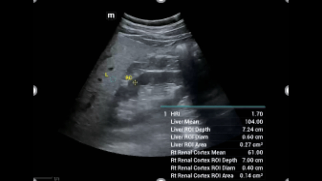 consona-n9-fig3-1-2