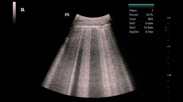 consona-n9-fig3-1-5