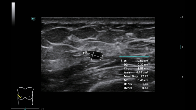 consona-n9-fig3-1-6