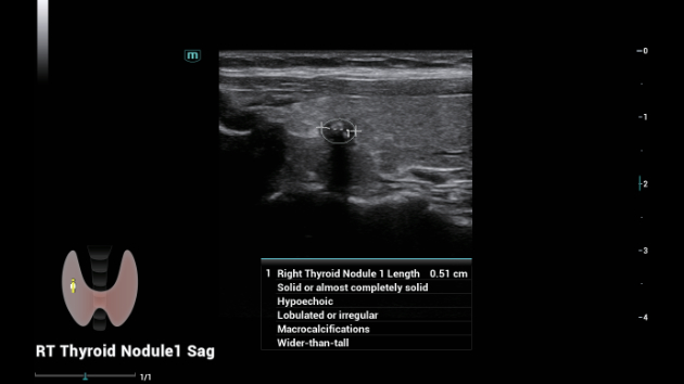 consona-n9-fig3-1-8