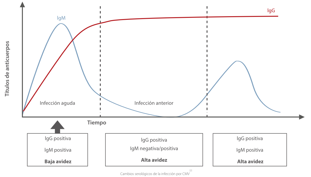 cytomegalovirus-fig3-pc-es-la