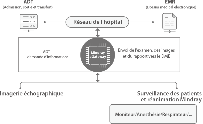 te9-fig8-pc