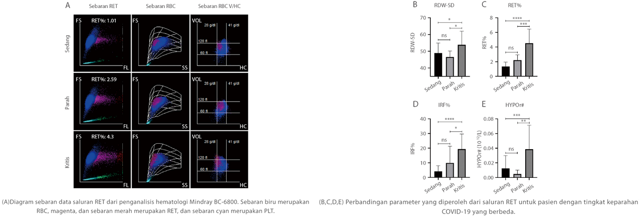 gln22-s6-2