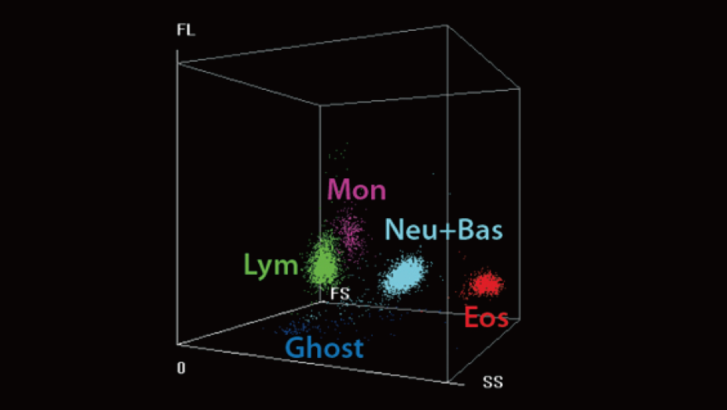 gln28-s6-2