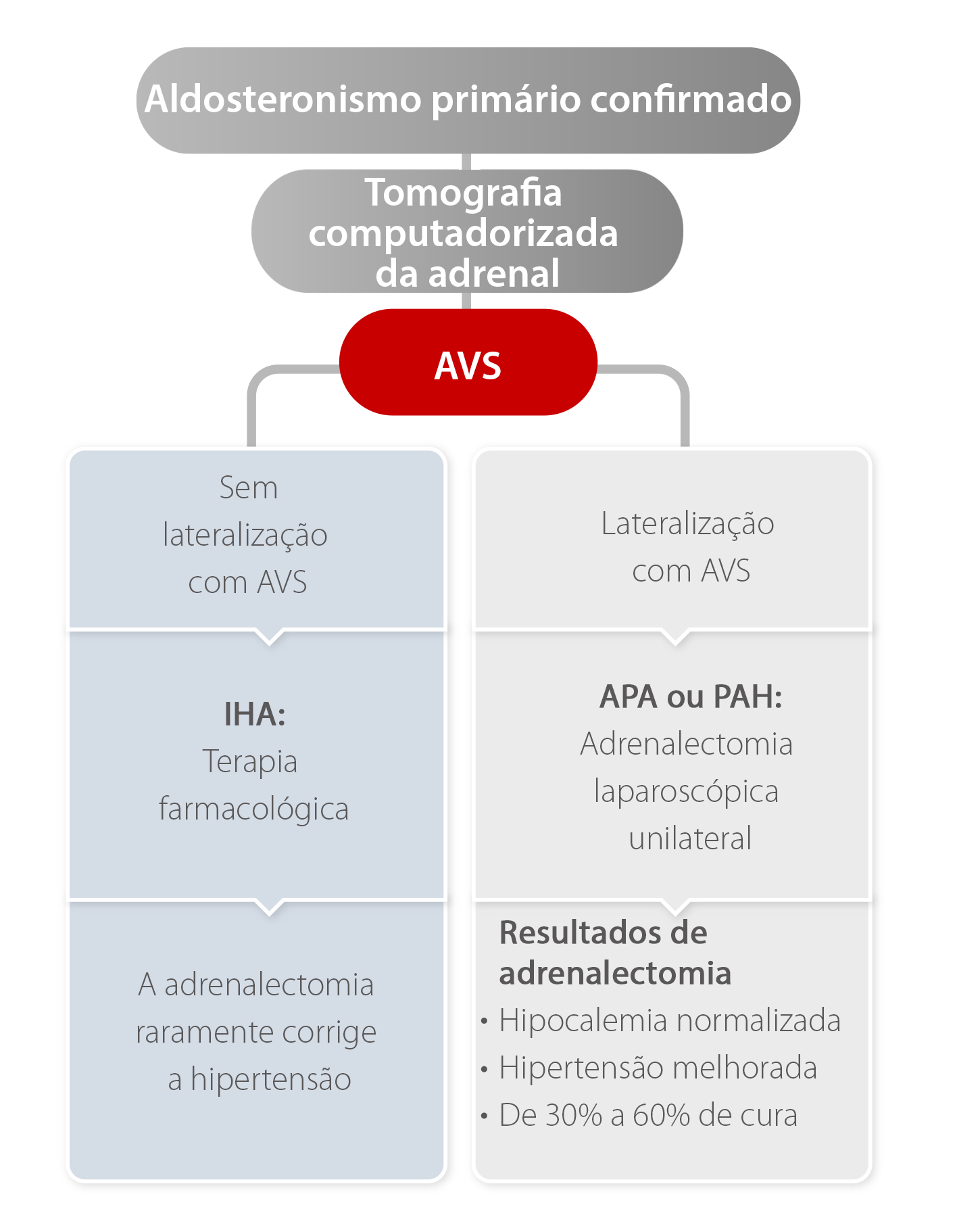 gln53-s8