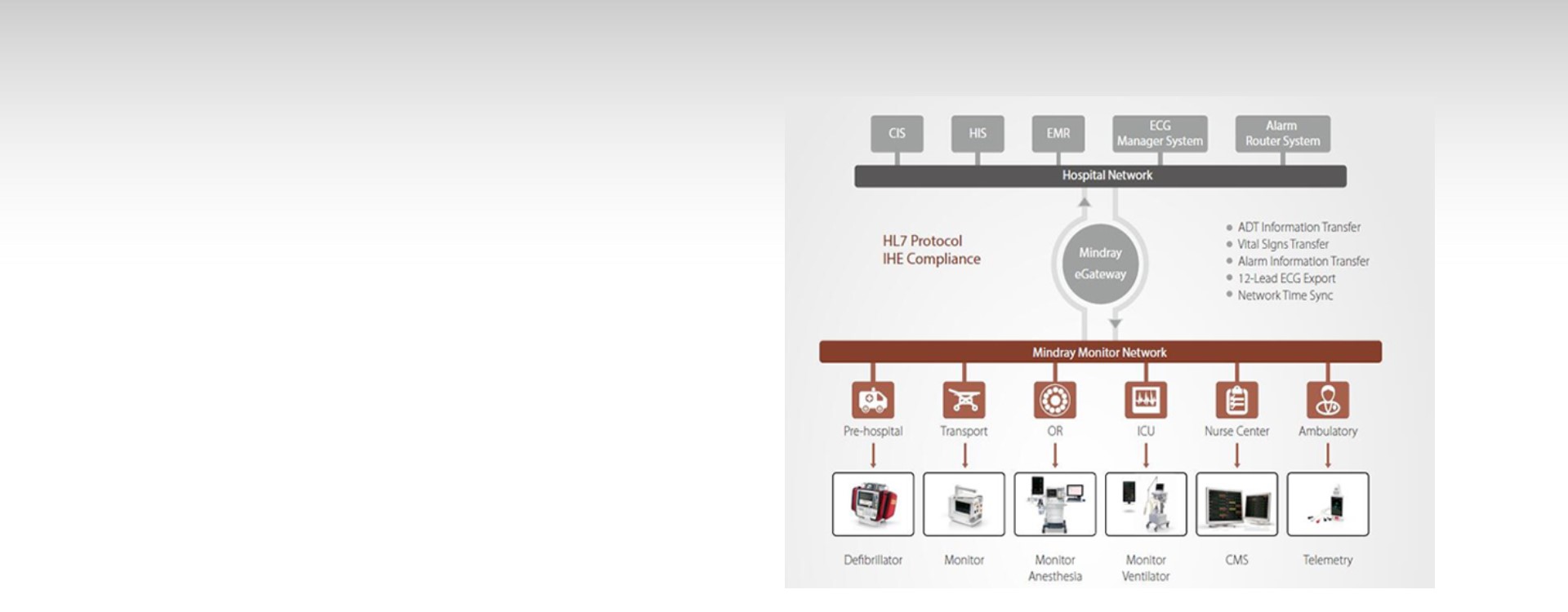 p29-s1-web