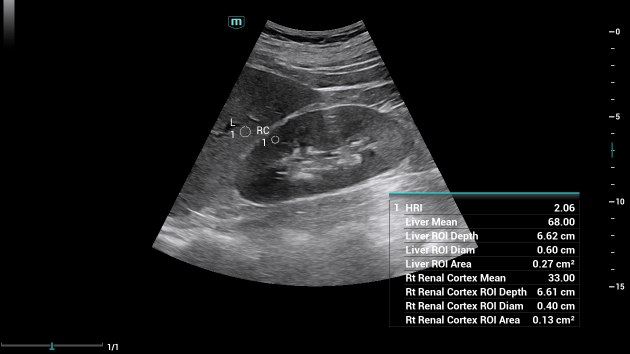 consona-cn-fig3-1-4