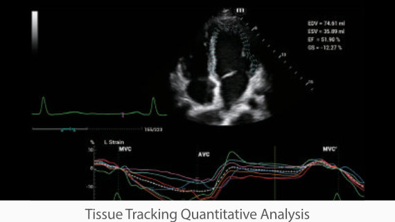 na-mx7-fig3-3